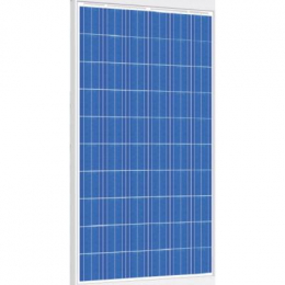 Фото Солнечная панель RISEN 250W, Poly, 1000V