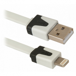 Фото Дата кабель USB 2.0 AM to Lightning 1.0m ACH01-03P Defender (87472)