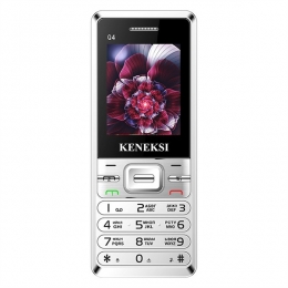 Фото Мобильный телефон Keneksi Q4 Dual Sim Silver (4623720446864)