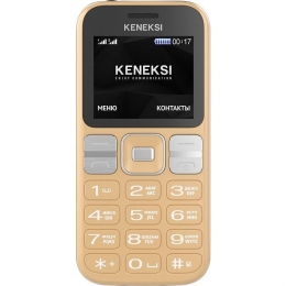 Фото Мобильный телефон Keneksi T2 Dual Sim Golden (4680287512838)