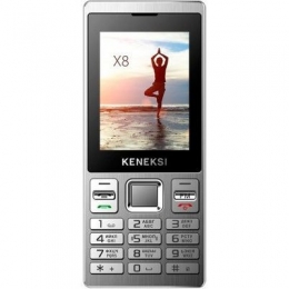 Фото Мобильный телефон Keneksi X8 Dual Sim Silver (4602009346040)