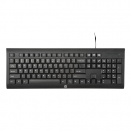 Фото Клавиатура HP Keyboard K1500 (H3C52AA)