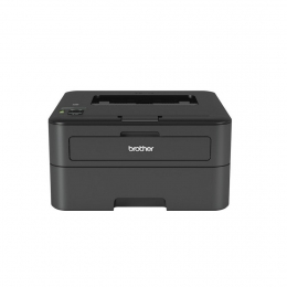 Фото Принтер Brother HL-L2360DNR с Wi-Fi (HLL2365DWR1)