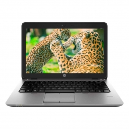 Фото Ноутбук HP EliteBook 820 (F6N30AV)