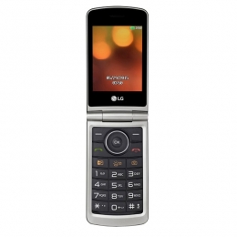 Фото Мобильный телефон LG G360 Red (LGG360.ACISRD)