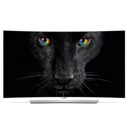 Фото OLED Телевизор LG 55EG960V