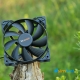 Фото be quiet! Pure Wings 2 120mm PWM (high-speed) 2000RPM