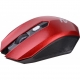 Фото Мышь 2E MF203 WL Black(2E-MF203WB)