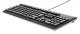 Фото Клавиатура HP USB Keyboard(QY776AA)