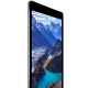 Фото Планшет Apple iPad Air 2 Wi-Fi 128GB Space Gray (MGTX2TU/A)
