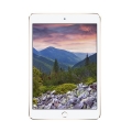 Фото Планшет Apple iPad mini 4 Wi-Fi 64GB Gold (MK9J2RK/A)