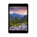 Фото Планшет Apple A1550 iPad mini 4 Wi-Fi 4G 64GB Space Gray (MK722RK/A)